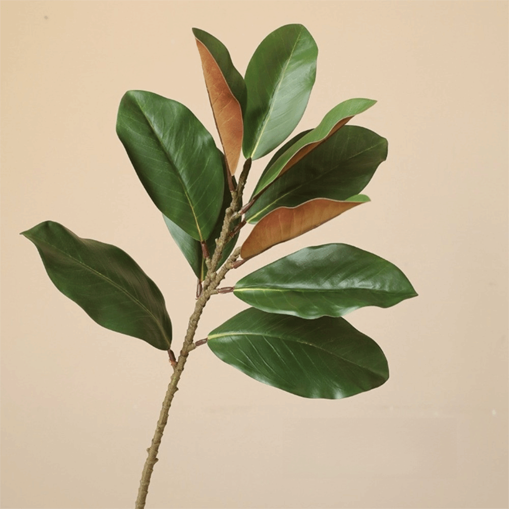 Snake Plant - 57cm Artificial Magnolia Leaves Rubber Plants