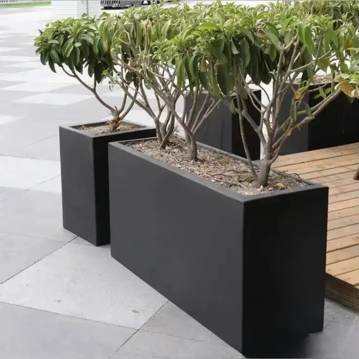 New Nordic Large Indoor Flower - Indoor Plants review and price