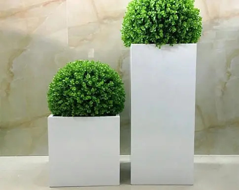 New Nordic Large Indoor Flower - Indoor Plants review and price