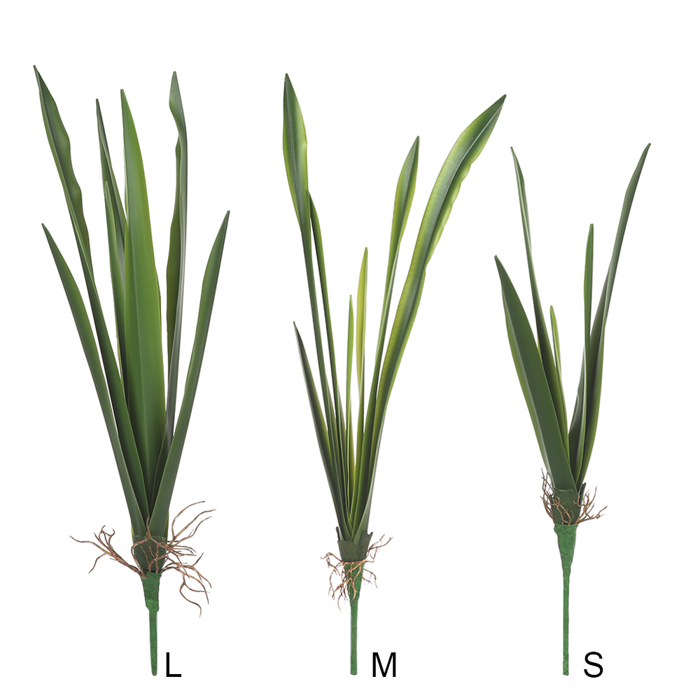 New Party Supplies High Grade  - Snake Plant review and price