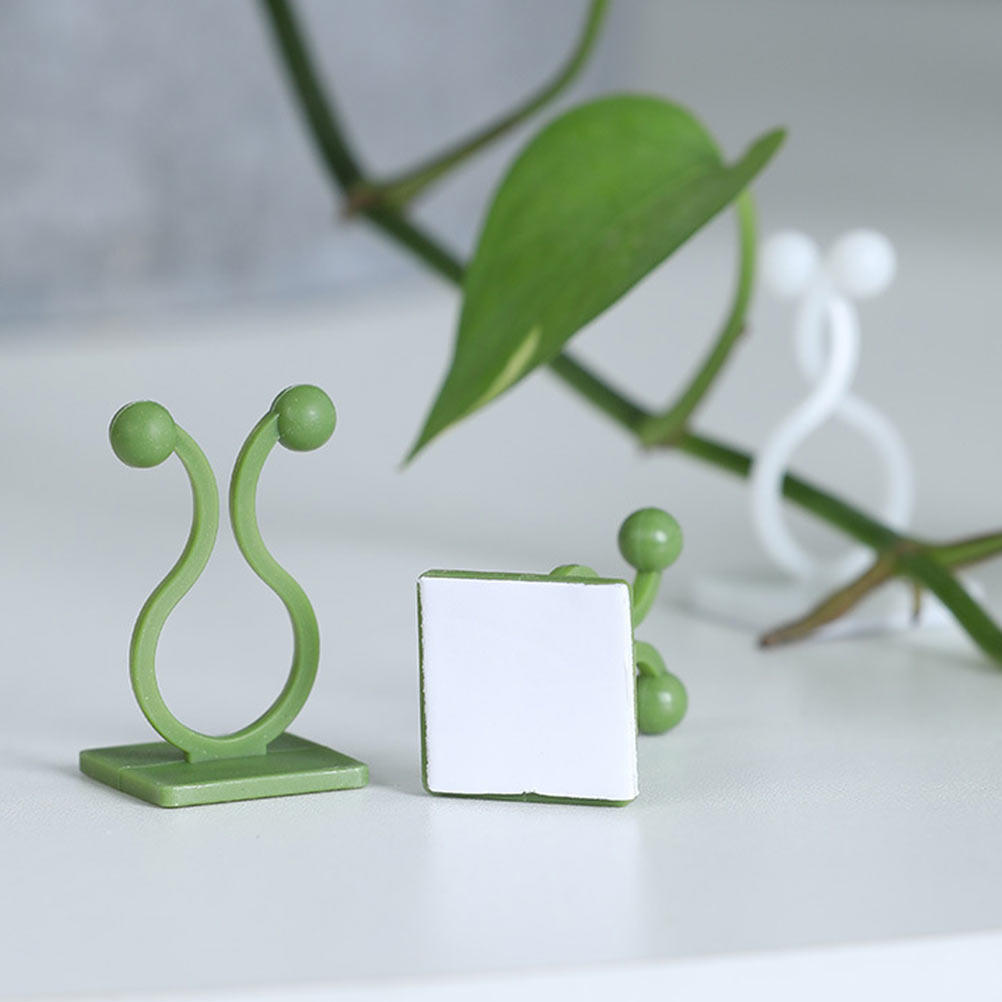 80Pcs Plant Climbing Fixture H - Pothos review and price