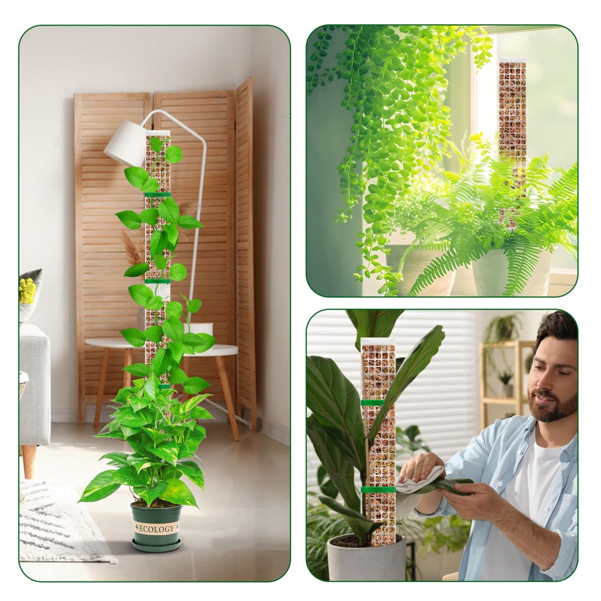 Stackable Plastic Moss Pole fo - Plant Support Stake review and price