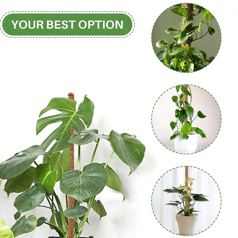 Monstera Plant Moss Pole Suppo - Plant Support Stake review and price