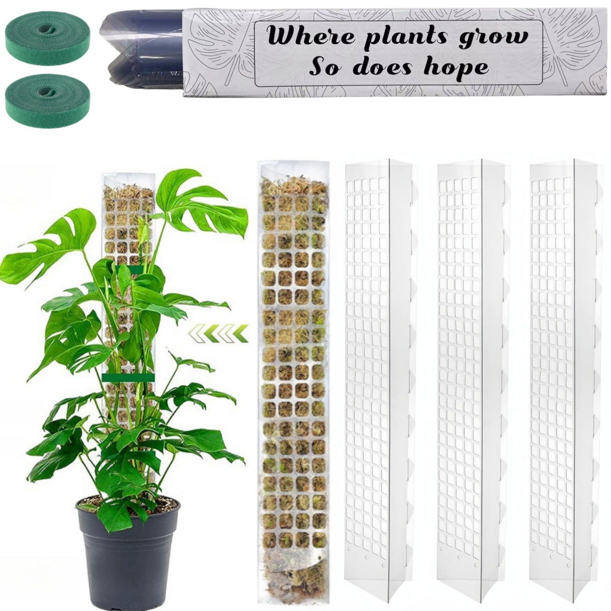 Moss Pole Plastic Plant Stand  - Plant Support Stake review and price
