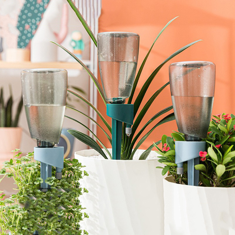 New Automatic Flower Watering  - Succulent Set review and price