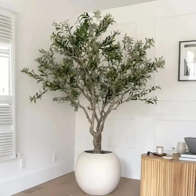 Customizable 90cm 120cm 150cm  - Indoor Plants review and price