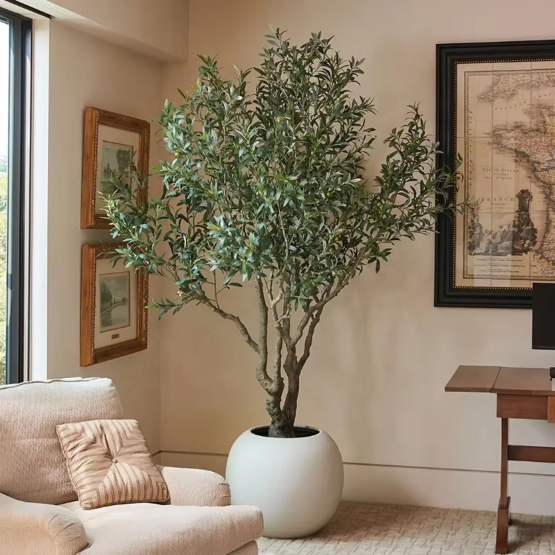 Customizable 90cm 120cm 150cm  - Indoor Plants review and price