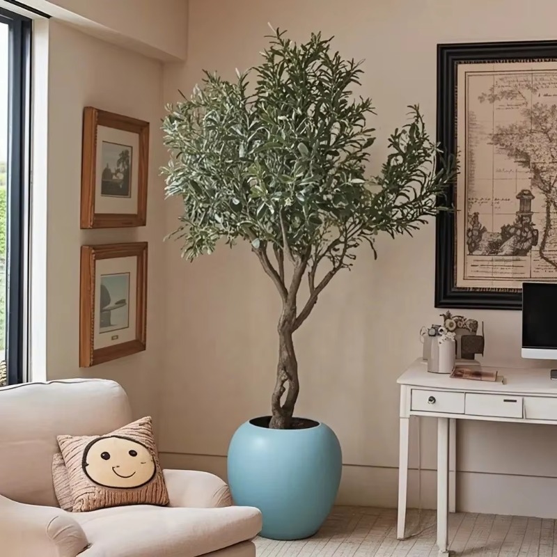 Customizable 90cm 120cm 150cm  - Indoor Plants review and price
