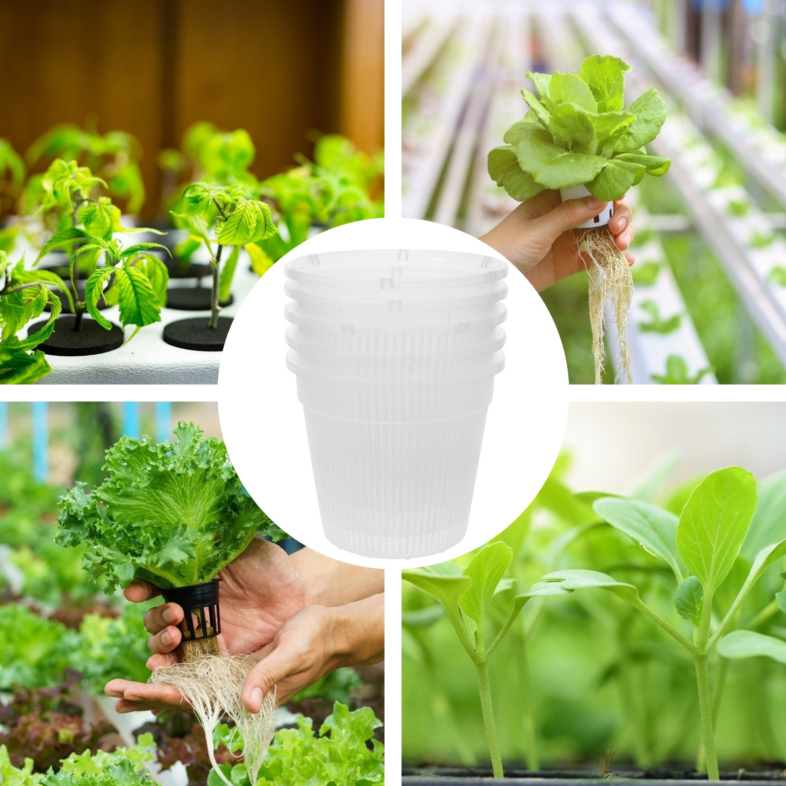 5Pcs Hydroponic Planting Net P - Indoor Plants review and price