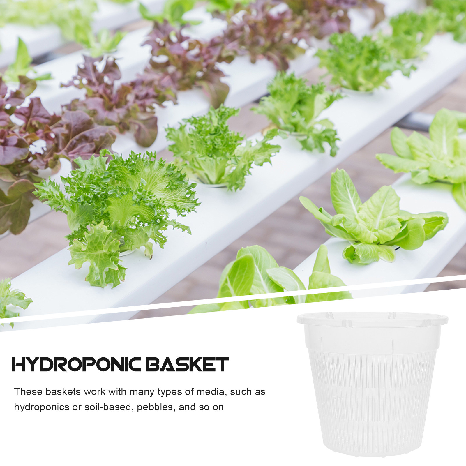 5Pcs Hydroponic Planting Net P - Indoor Plants review and price