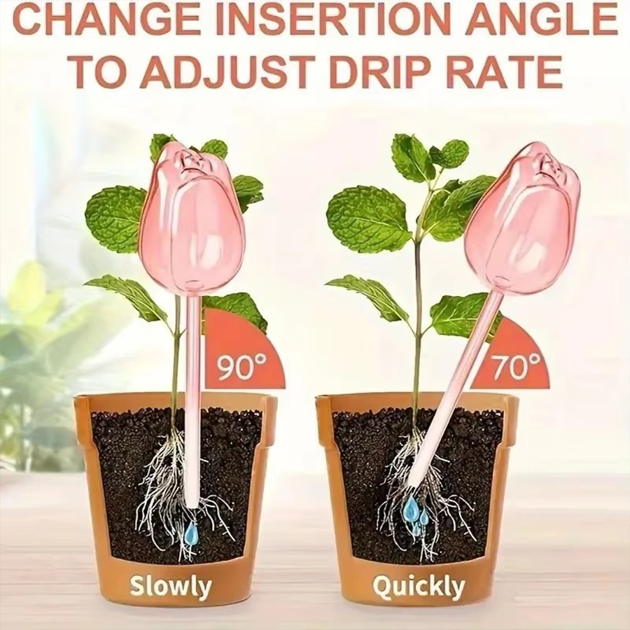Transparent Thick PET Tulip Sh - Pothos review and price
