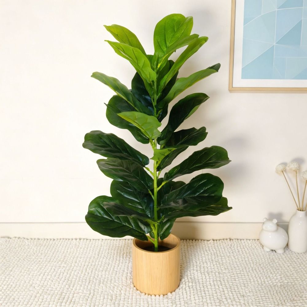 Green Plastic Artificial Ficus - Snake Plant review and price