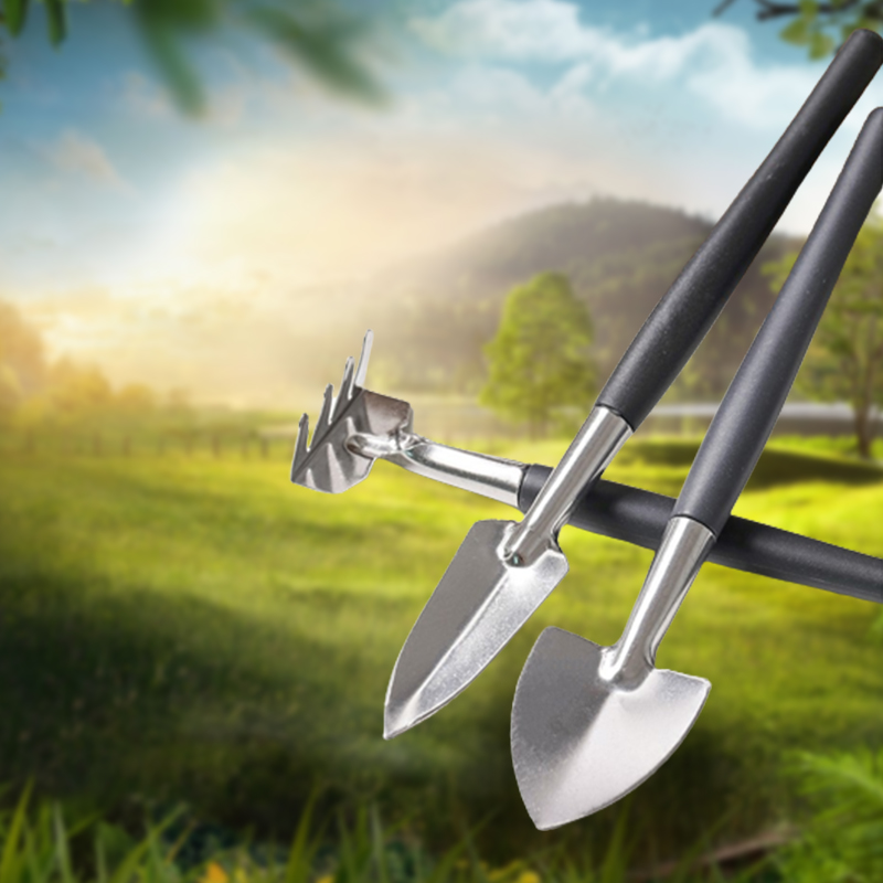 3pcs/set, Garden Tool Set Rake - Succulent Set review and price