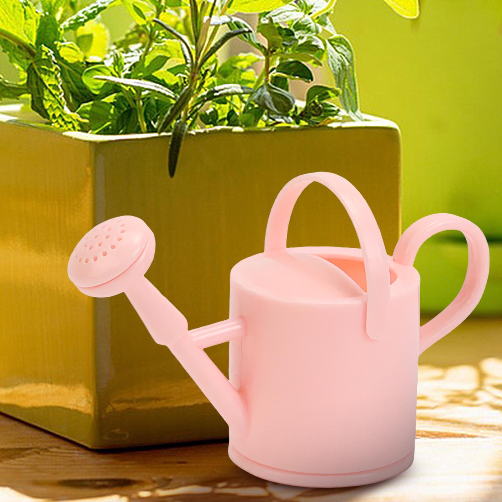 Small Kids Watering Can Flexib - Succulent Set review and price