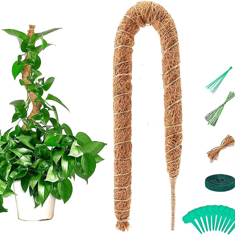 Horticultural Coconut Palm Sti - Pothos review and price