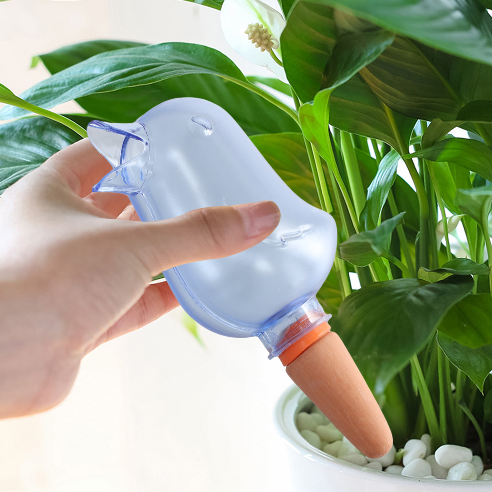 Automatic Plant Drip Irrigatio - Pothos review and price