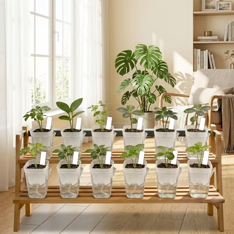 16/32 Pack Self-Watering Plant - Pothos review and price