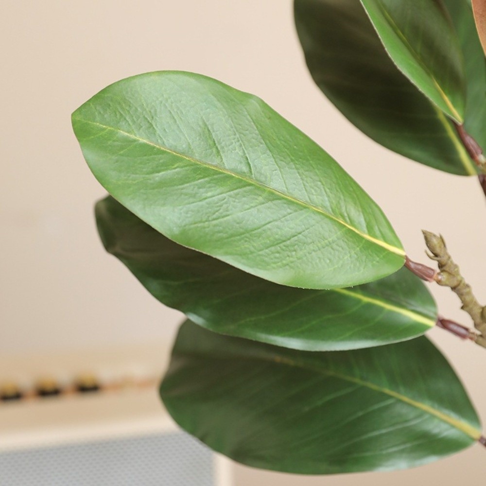 57cm Artificial Magnolia Leave - Snake Plant review and price