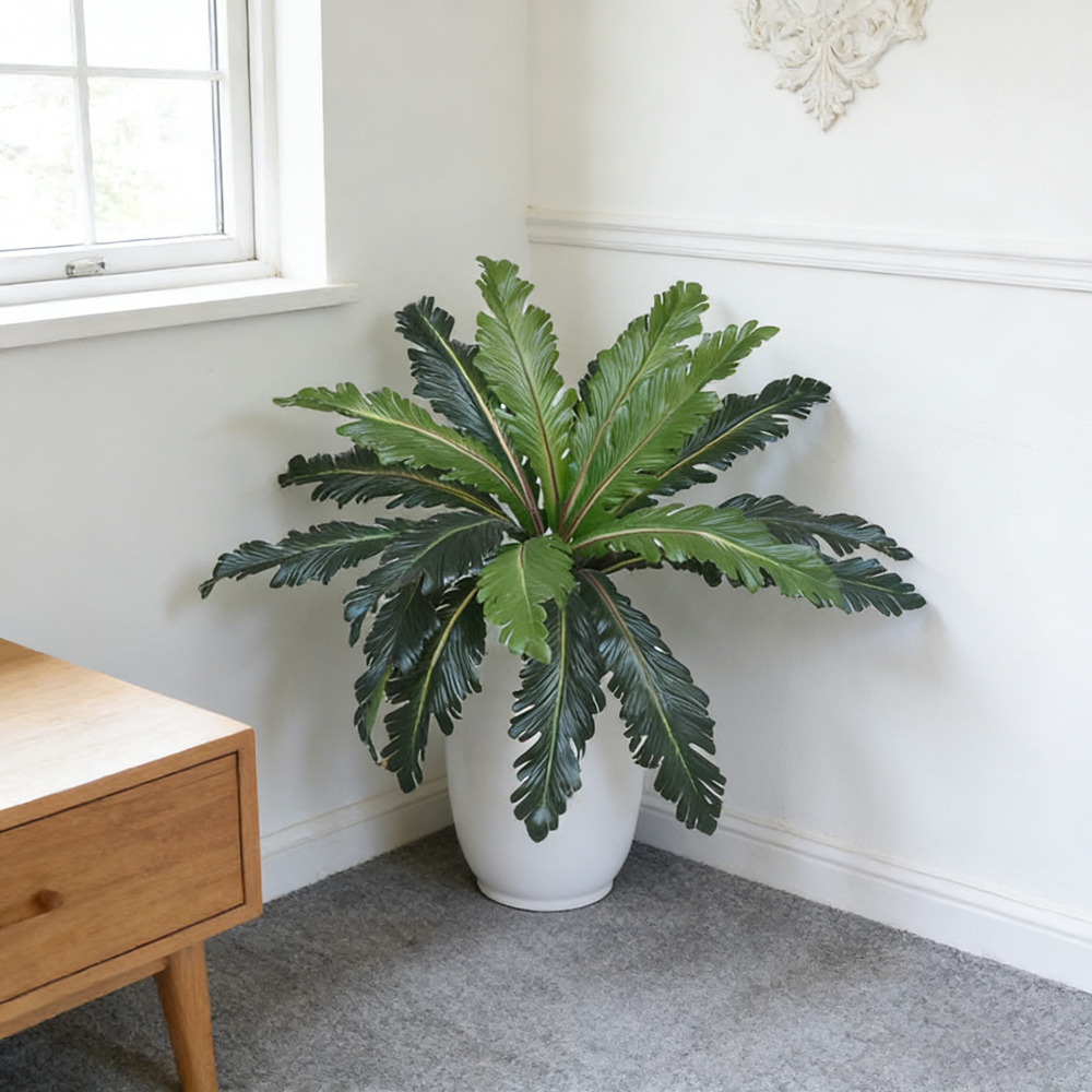 45-50cm Tropical Fake Persian  - Snake Plant review and price