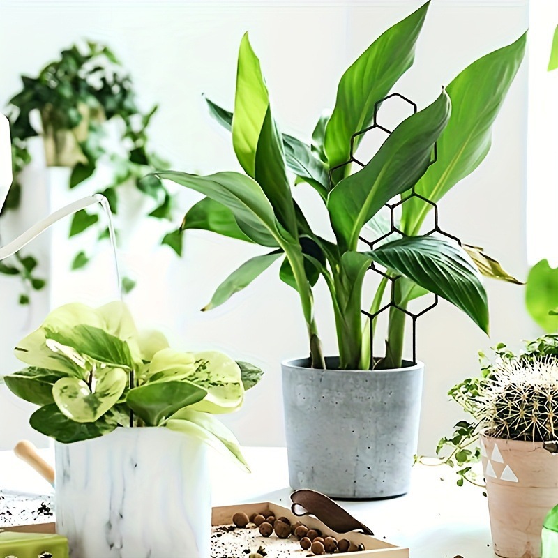 1PC Honeycomb Design Plant Tre - Pothos review and price
