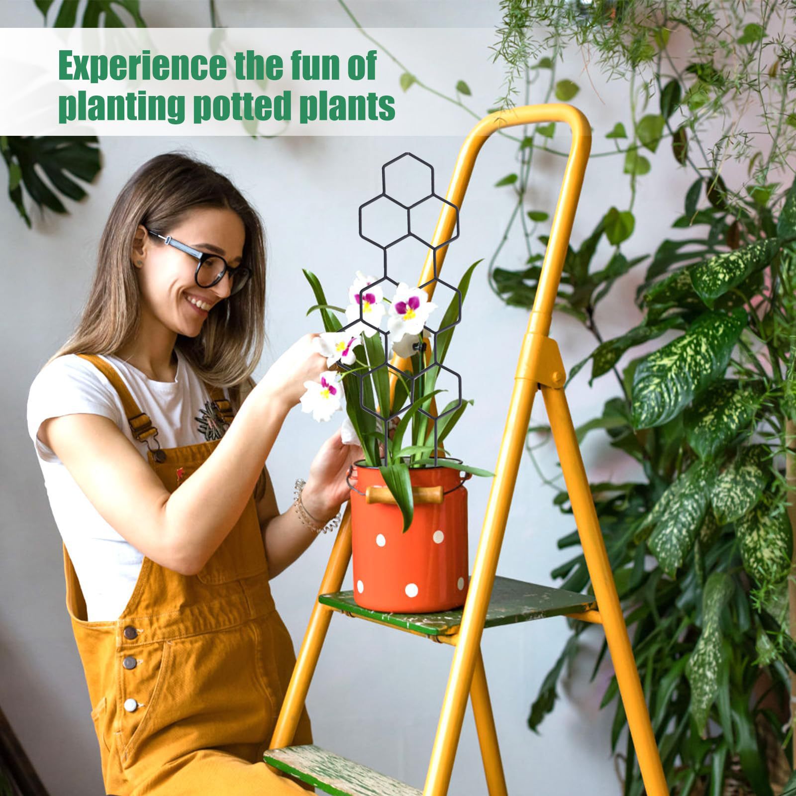 1PC Honeycomb Design Plant Tre - Pothos review and price