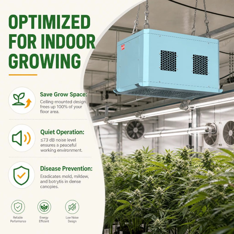 Powerful Greenhouse Dehumidifi - Indoor Plants review and price